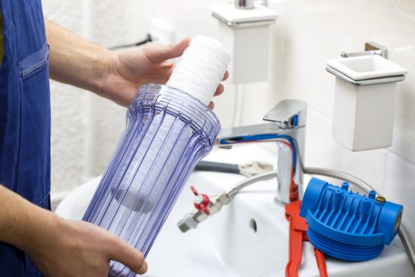Cost of Water Filtration Service in Lady Lake